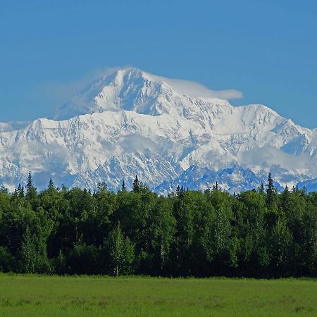 Mckinley View B&B Trapper Creek Zewnętrze zdjęcie